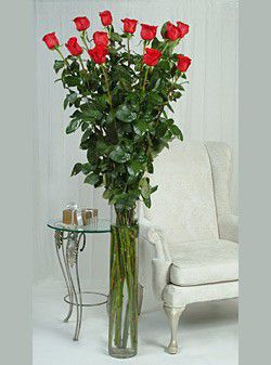 Epic Rose - Deliver the World's Tallest Roses