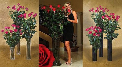 Deliver the World's Largest Roses from Carithers Flowers