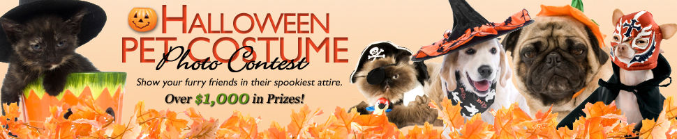 Halloween Pet Photo Contest