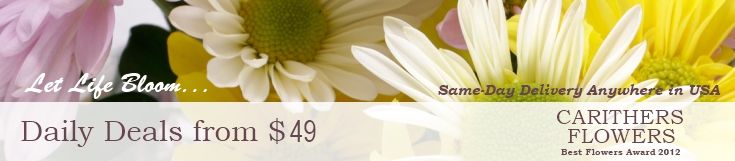 Daily Deals from $49 - Flowers, Plants, Gift Baskets