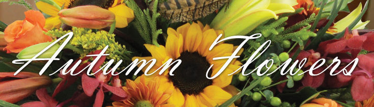 Autumn Flowers & Gifts
