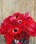 New! Trendy Flower Cubes