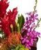 Valentine Exotics & Orchids