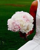 Garden Bouquet Peonies