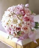 Soft Pinks