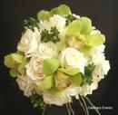 Green Cymbidium Orchids