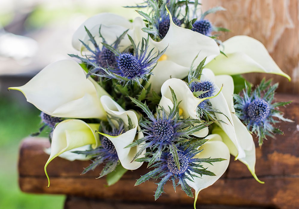 Dried Flower Blue Bouquet Garden Bunch