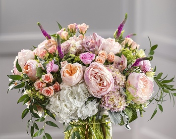 Pastel Collection