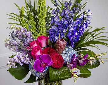 Jewel Tone Collection