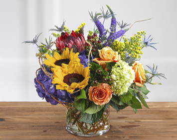 Thanksgiving Gifts - All (11/27)