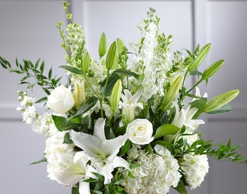 White Collection