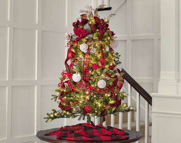 Decorated Christmas Trees 