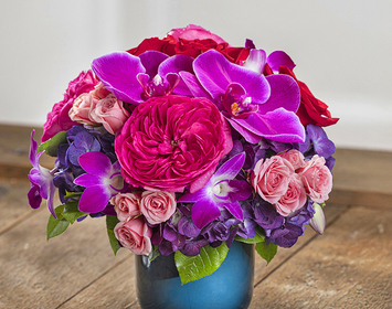 Valentine's | The Romance Collection