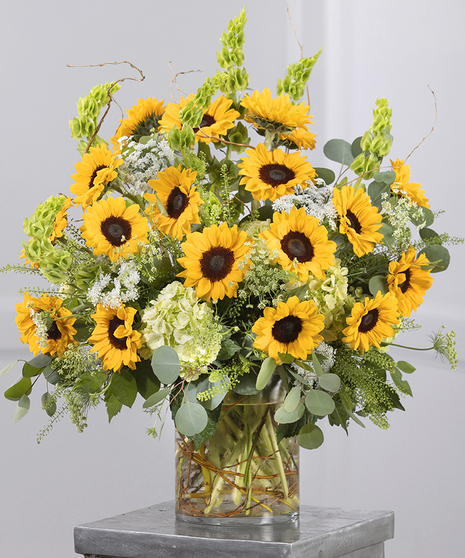 Sunflower Garden Showcase