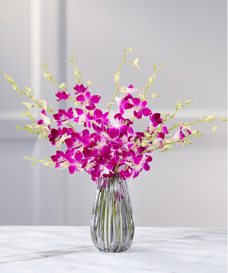 Exotic Tropical Dendrobium Orchids - 10 stems of purple orchid sprays