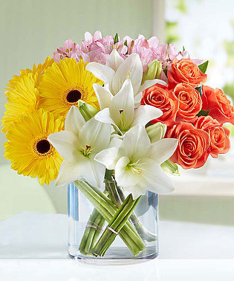 Modern Spring Mix featuring lilies, gerbera daisies and roses