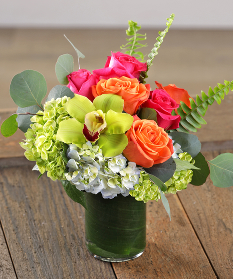 Vibrant Delight