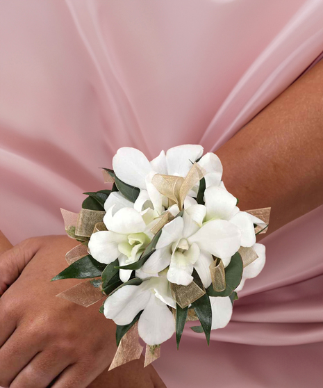 White Dendrobium Orchid Wrist Corsage with Gold Sheer Ribbon