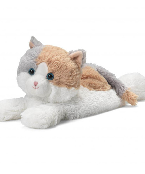 Calico Cat