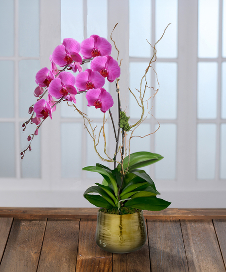 Double Purple Phalaenopsis Orchid - Decor Container