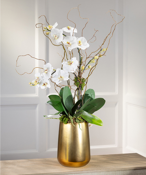 Double White Phalaenopsis Orchid - Tall Gold Decor Container