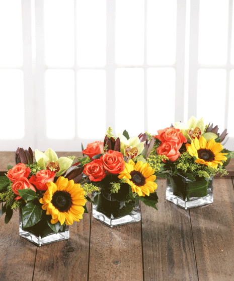 Tuscany Delight Cubes