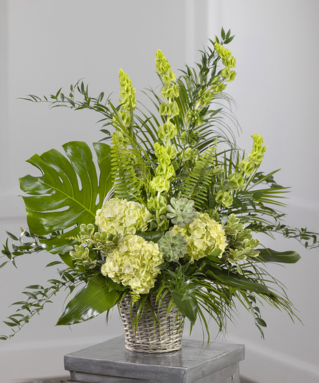 Garden Sympathy Basket featuring kiwi hydrangea, orchids, bells of Ireland and tropical foliage