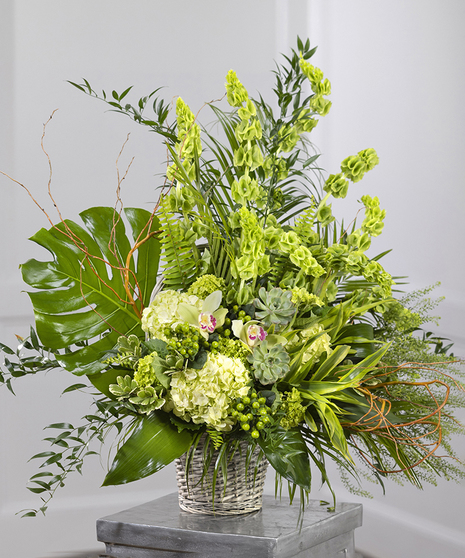 Garden Sympathy Basket featuring kiwi hydrangea, orchids, bells of Ireland and tropical foliage
