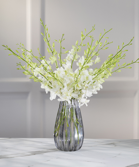 Tropical Dendrobium Orchids - Color: Exotic White