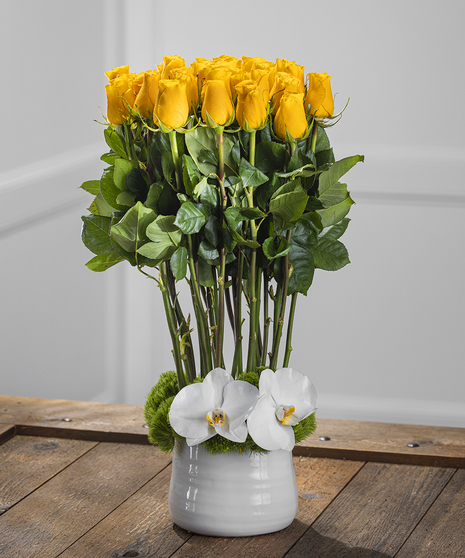 Yellow Roses