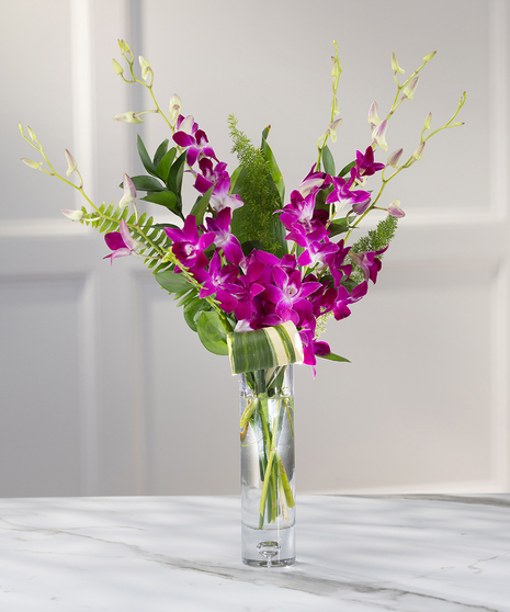 Exotic Orchids Desktop Budvase