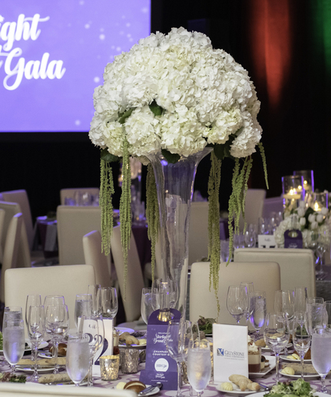 Trumpet of White Hydrangea