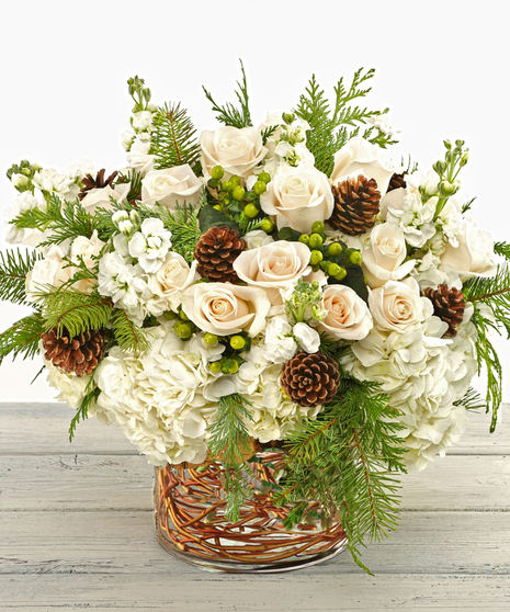 Winter Elegance