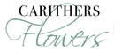 Carithers Flowers - Voted Best Florist in Atlanta, Southern Living Christmas House